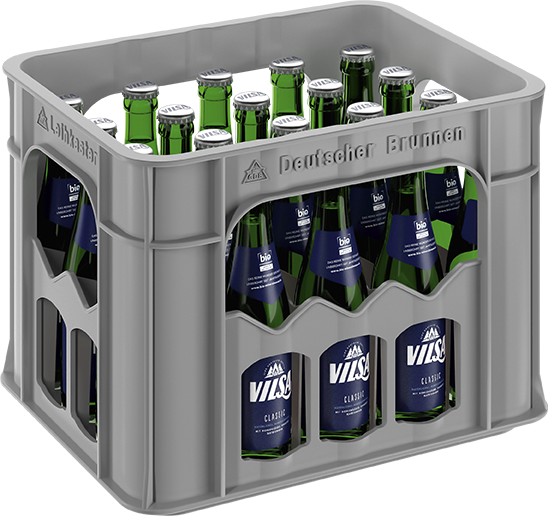 Vilsa Brunnen 20x0,25 L MW