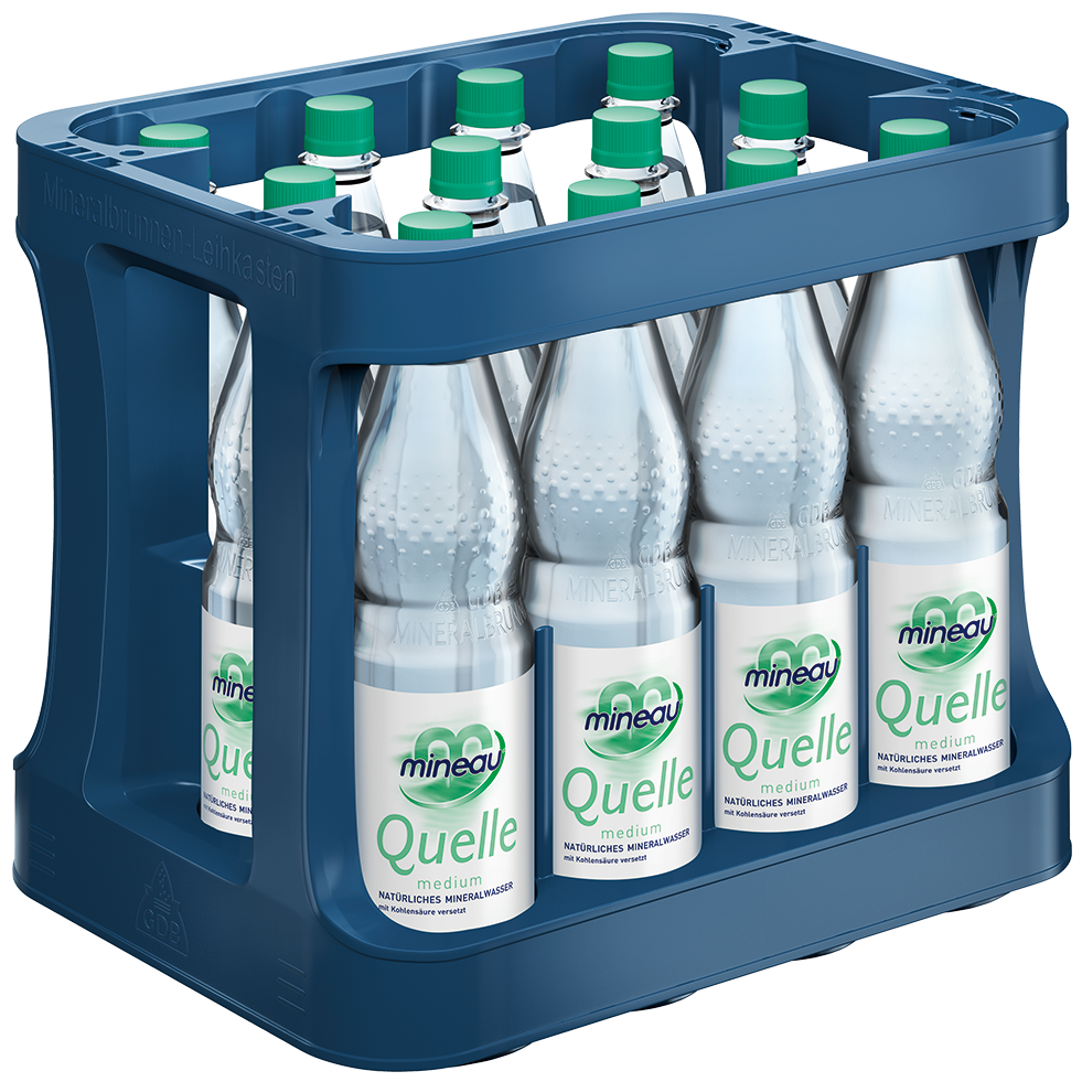 Mineau Medium Maria Quelle 12x1 L PET MW